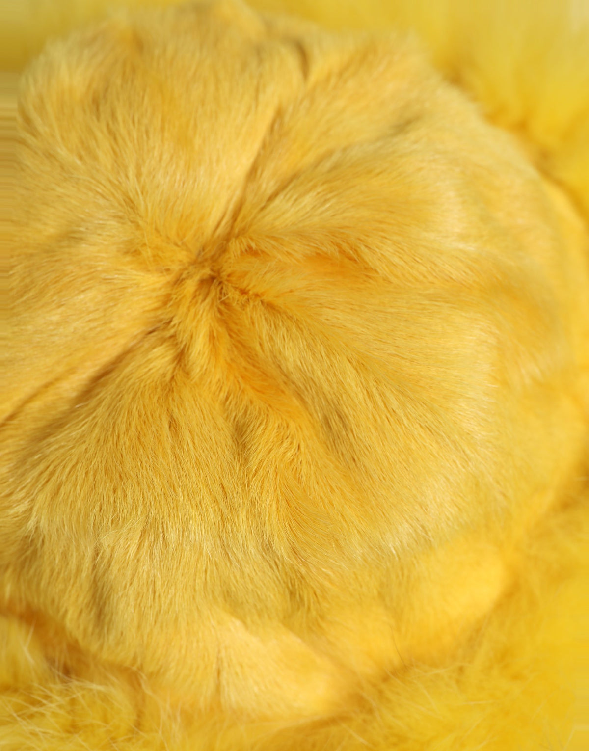 Dolce & Gabbana Yellow 'Bucket' Hat gelb