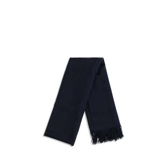 Max Mara Blue Baci Cashmere Scarf blau