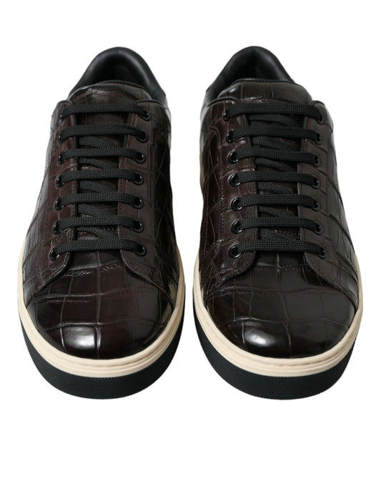 Dolce & Gabbana Brown Croc Exotic Leather Men Casual Sneakers Shoes Curated Luxury Accessories by Orvyn