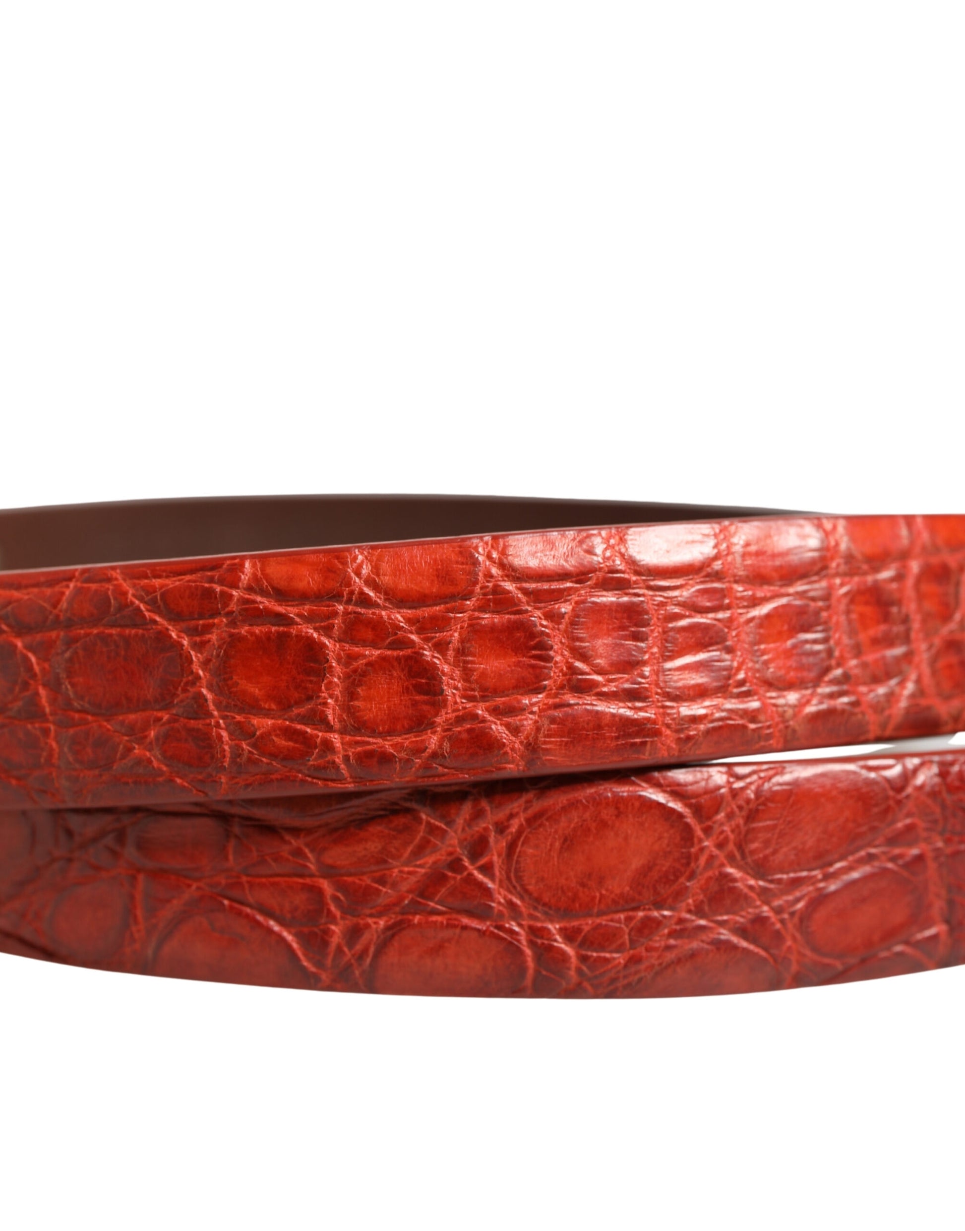 Dolce & Gabbana Red Leather Gold Tone Metal Buckle Men Belt Curated Luxury Accessories by Orvyn