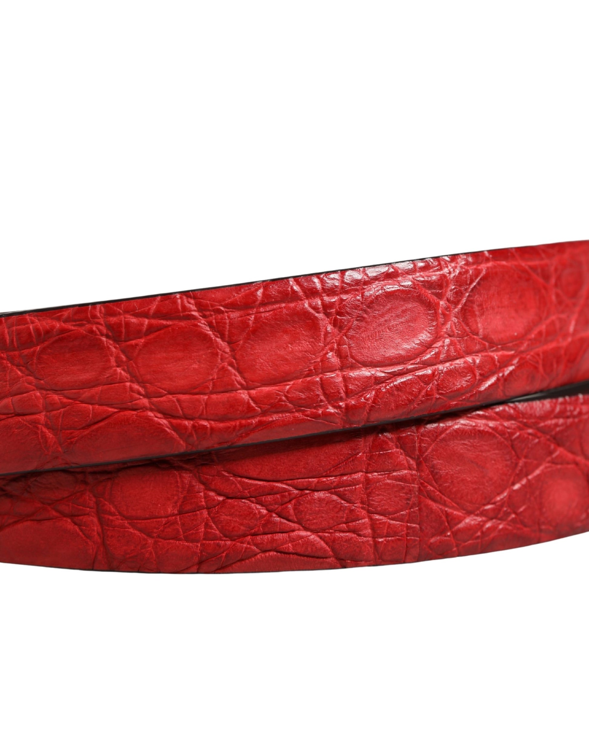 Dolce & Gabbana Men Red Exotic Leather Metal Buckle Belt Curated Luxury Accessories by Orvyn