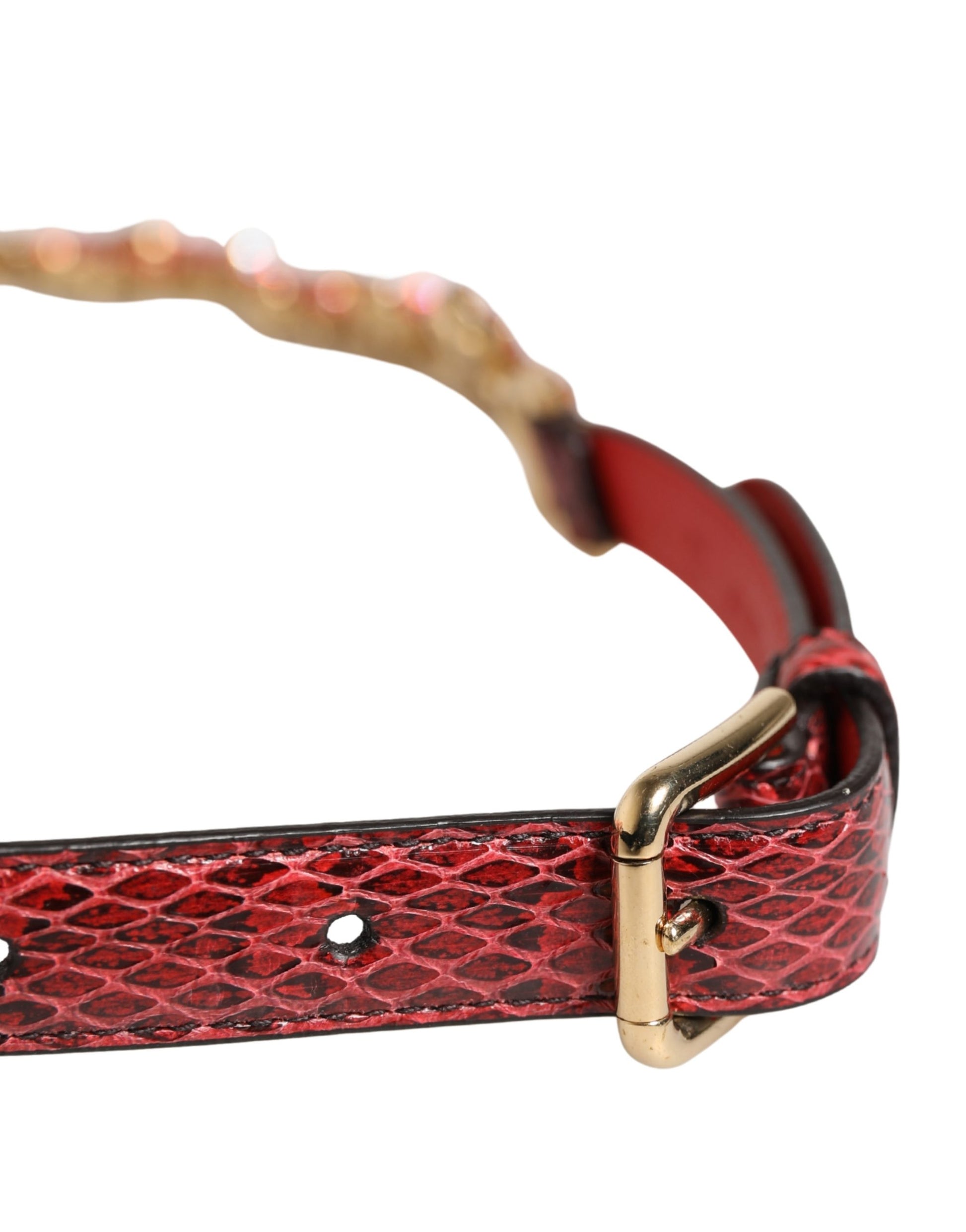 Dolce & Gabbana Red Leather Daisy Crystal Embellished Waist Belt Curated Luxury Accessories by Orvyn