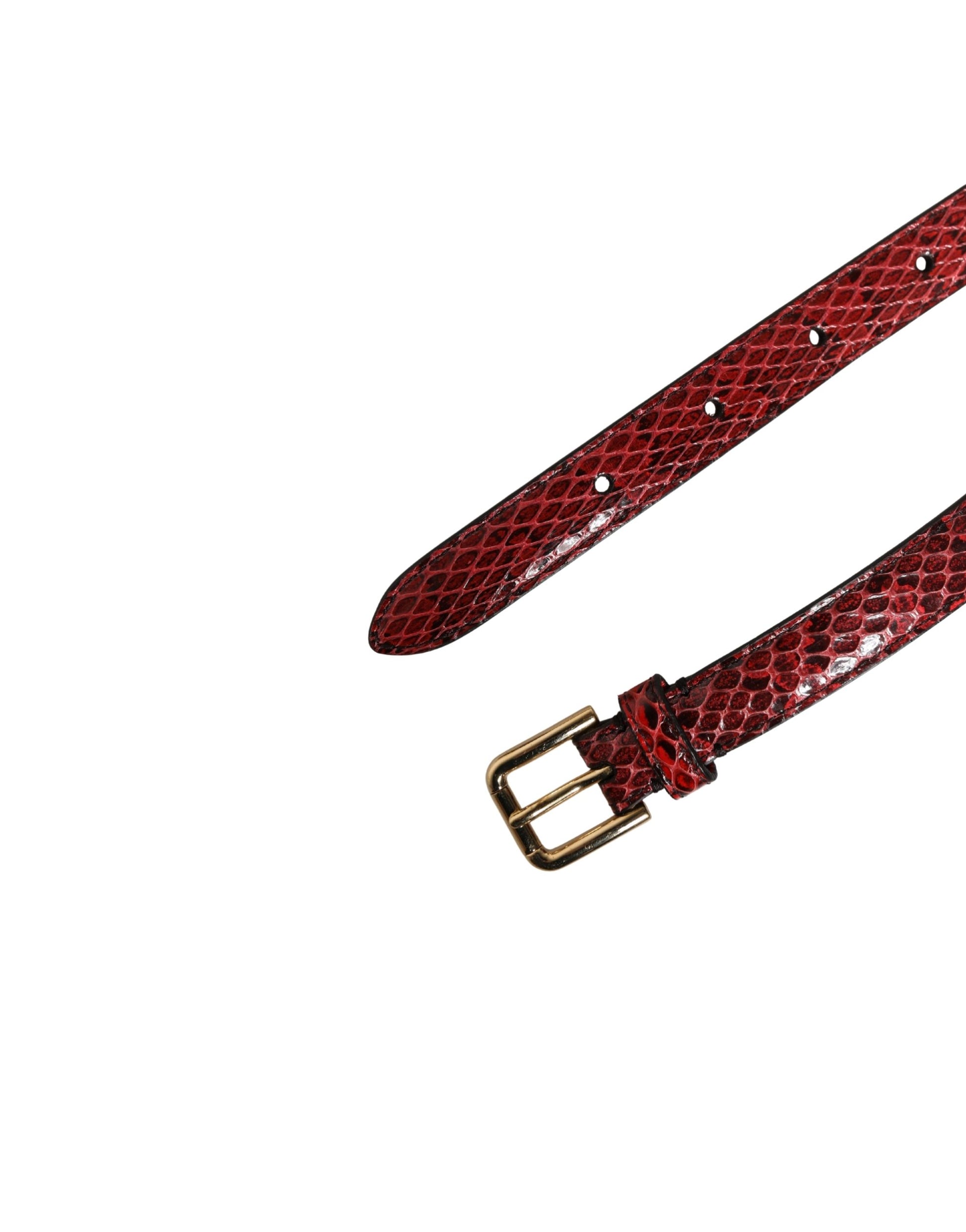 Dolce & Gabbana Red Leather Daisy Crystal Embellished Waist Belt Curated Luxury Accessories by Orvyn