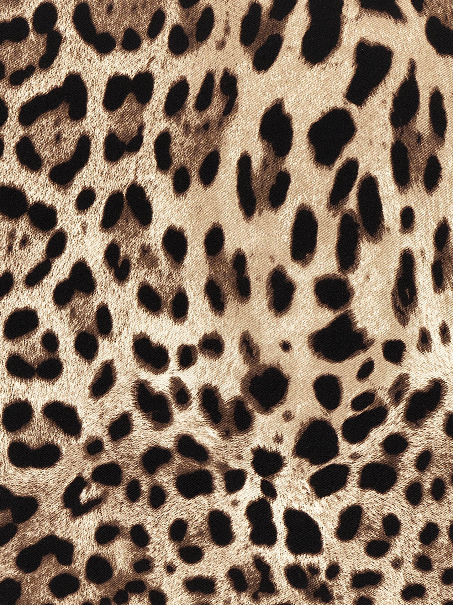 Dolce & Gabbana Multicolor 'Leopardo' Scarf