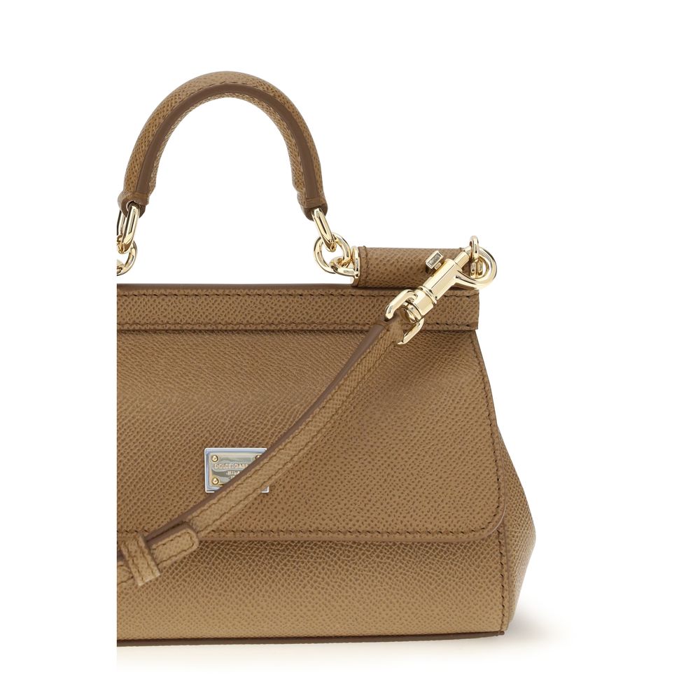 Dolce & Gabbana Beige Small Handbag