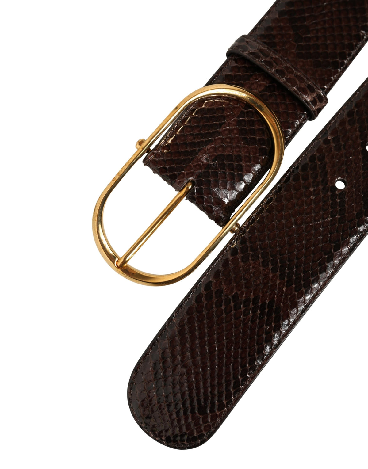 Dolce & Gabbana Brown Python Leather Gold Metal Buckle Belt braun