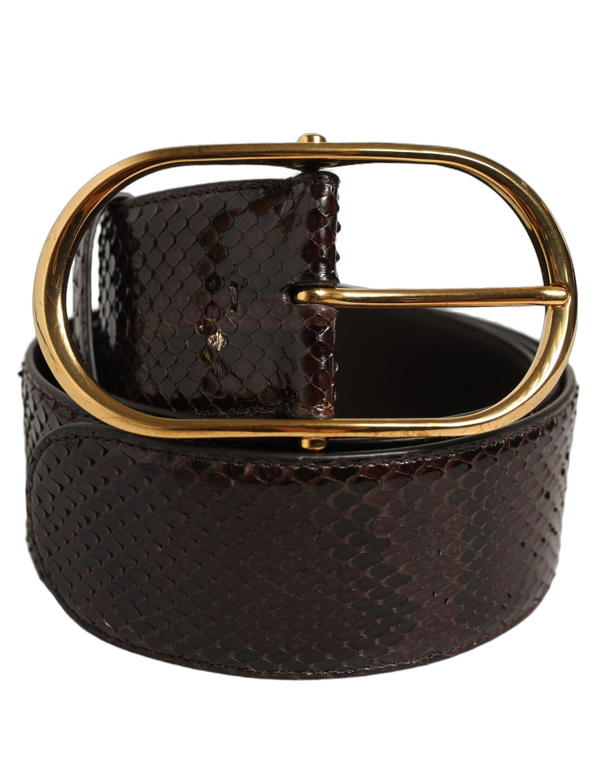 Dolce & Gabbana Brown Python Leather Gold Metal Buckle Belt braun