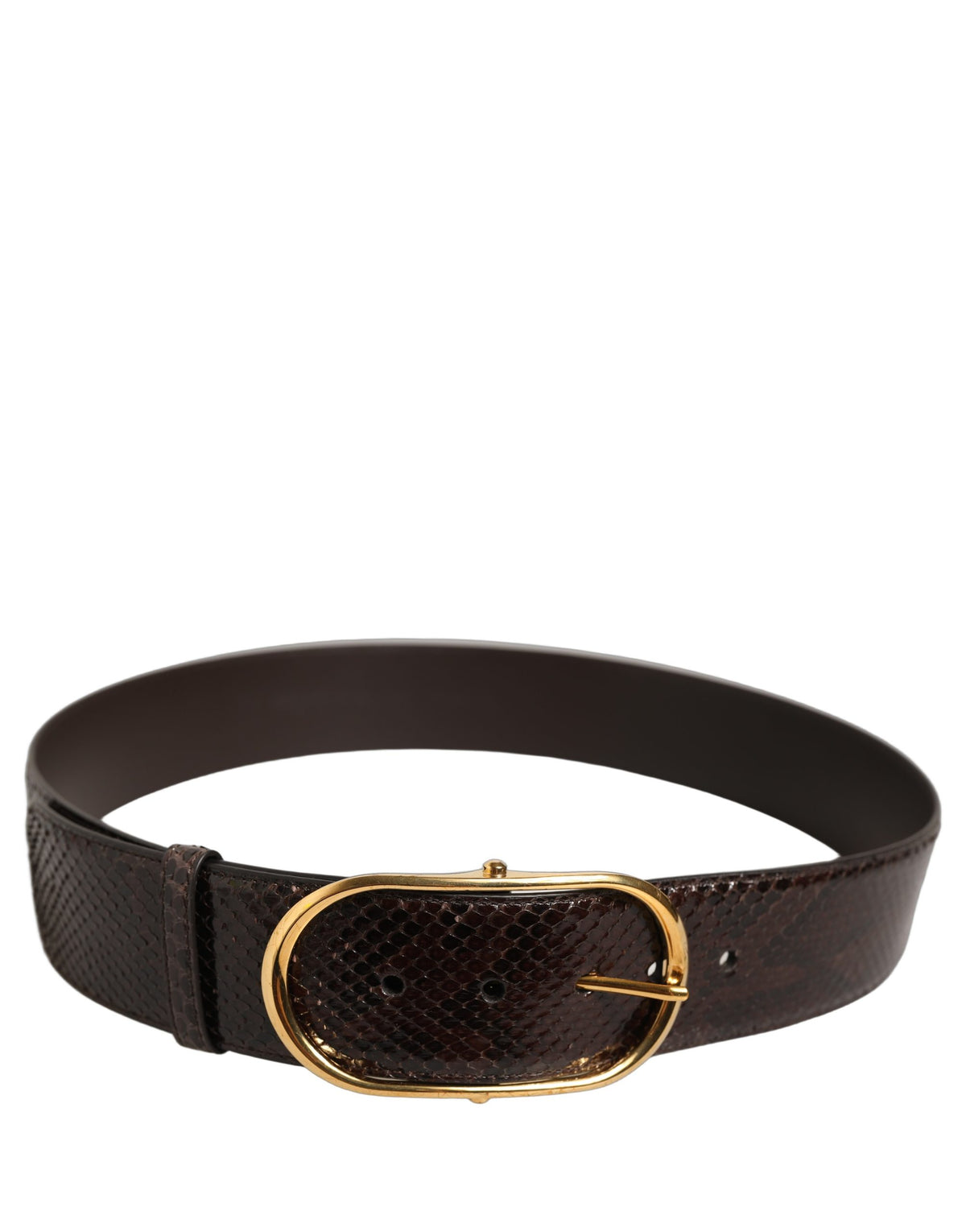 Dolce & Gabbana Brown Python Leather Gold Metal Buckle Belt braun