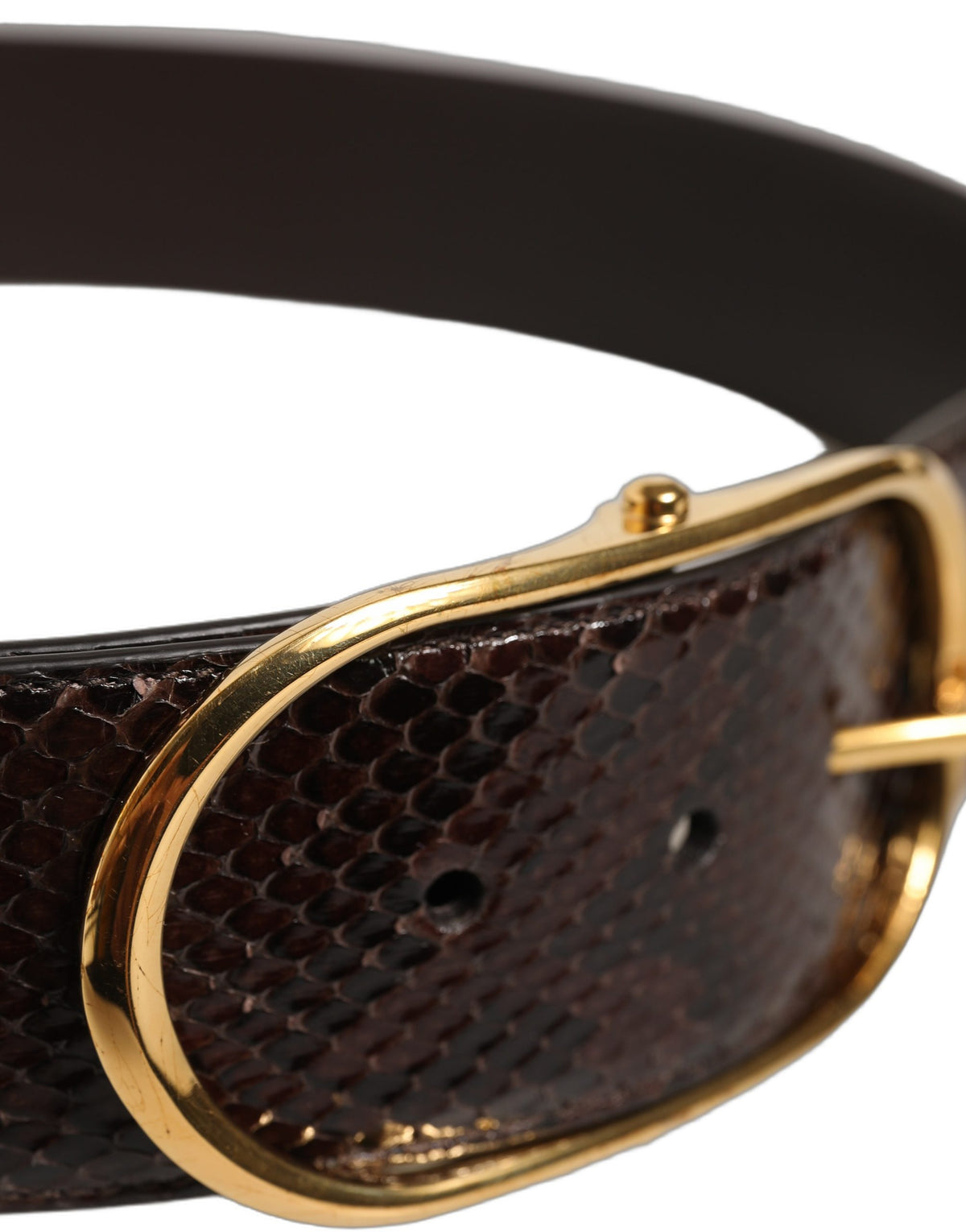 Dolce & Gabbana Brown Python Leather Gold Metal Buckle Belt braun