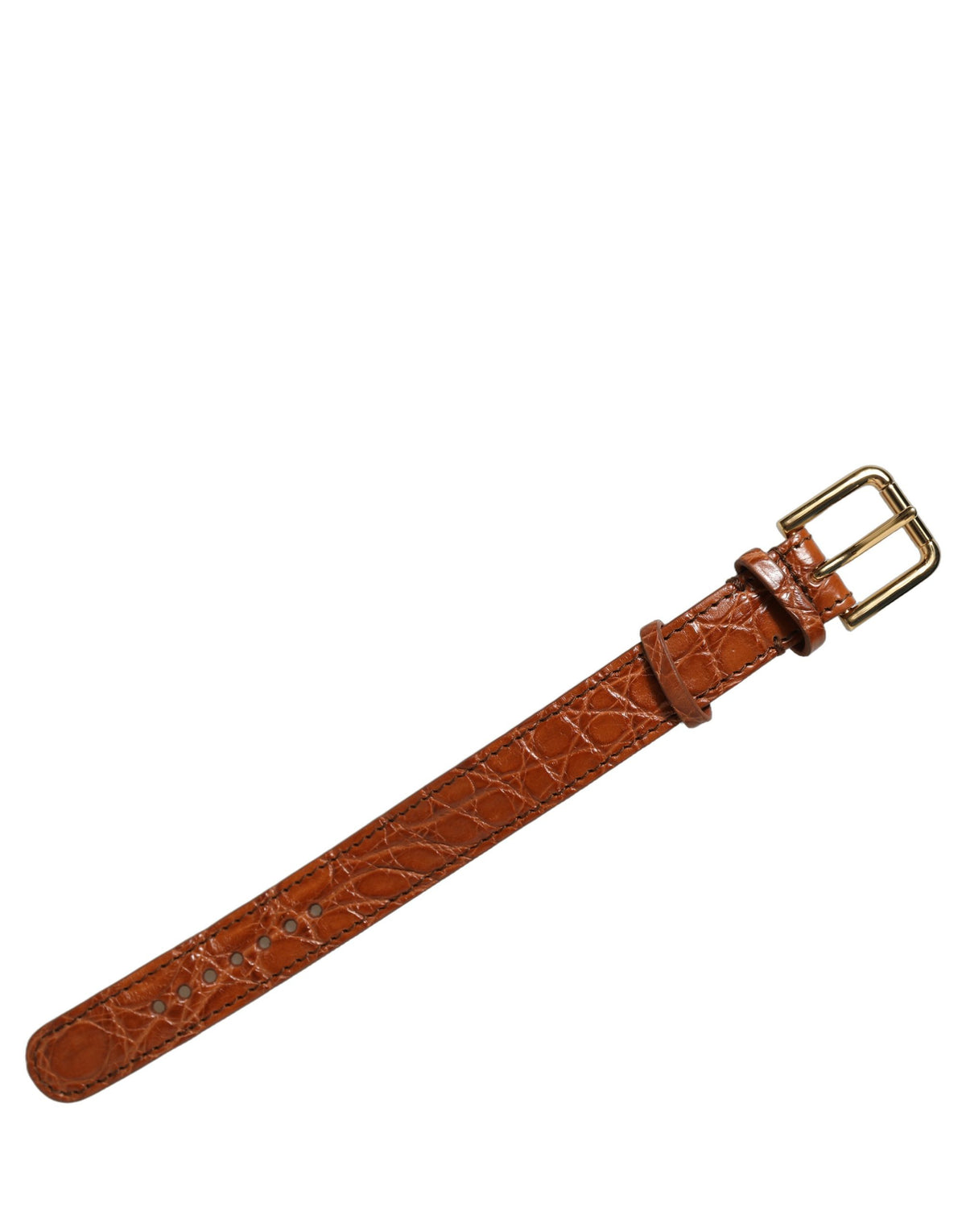 Dolce & Gabbana Brown Textured Leather Gold Buckle Belt Strap Bracelet braun