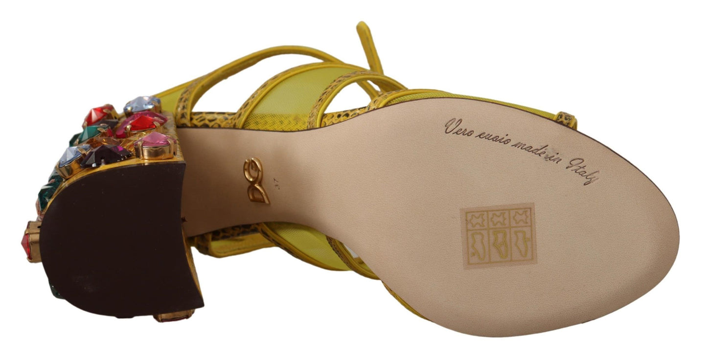 Dolce & Gabbana Yellow Leather Crystal Ayers Sandals Shoes gelb