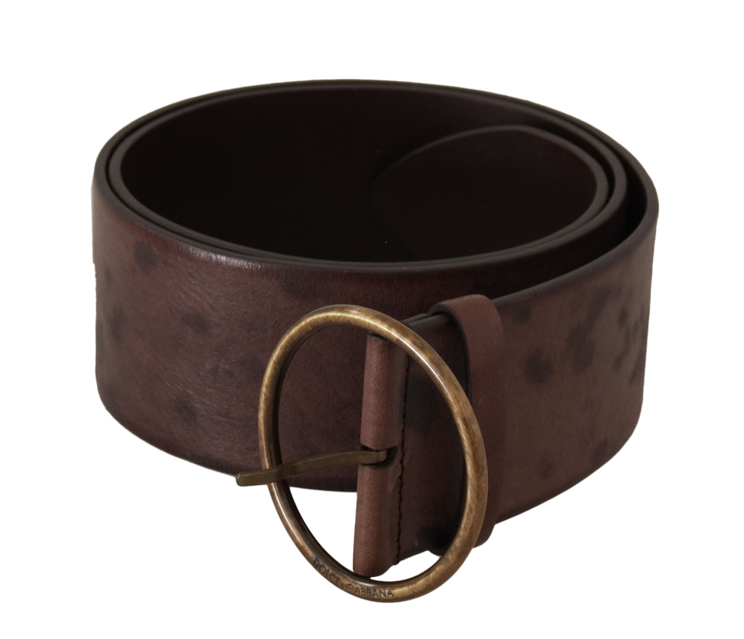 Dolce & Gabbana Dark Brown Wide Logo Round Buckle Belt braun