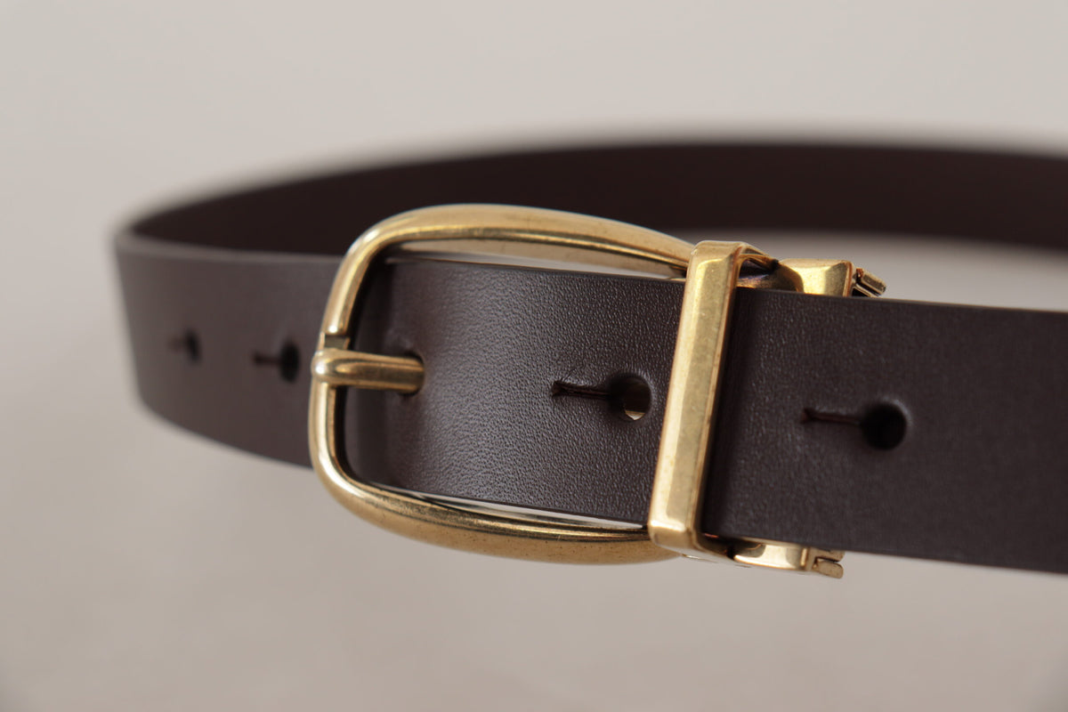 Dolce & Gabbana Dark Brown Gold Tone Metal Buckle braun