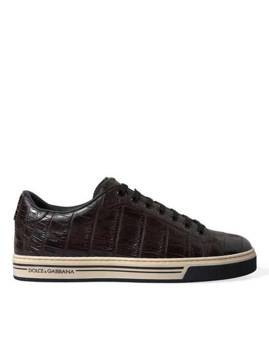 Dolce & Gabbana Brown Croc Exotic Leather Men Casual Sneakers Shoes Curated Luxury Accessories by Orvyn