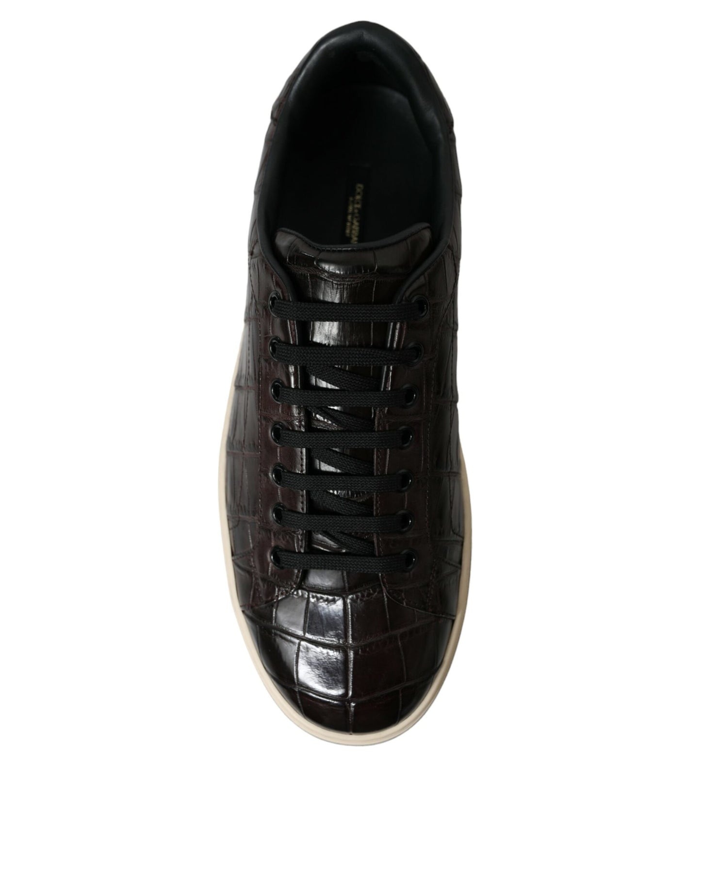Dolce & Gabbana Brown Croc Exotic Leather Men Casual Sneakers Shoes Curated Luxury Accessories by Orvyn