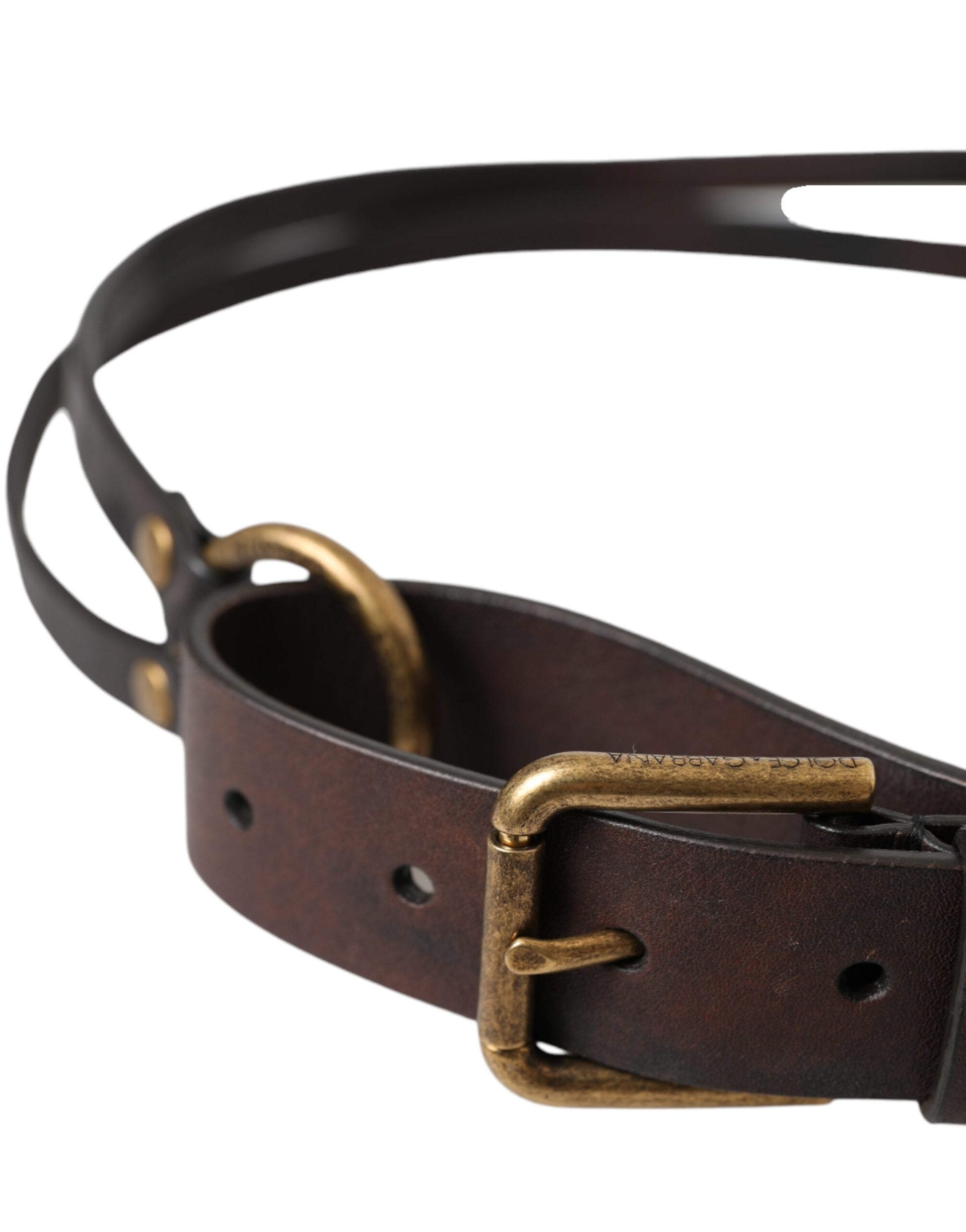 Dolce & Gabbana Dark Brown Leather Gold Metal Buckle Women Belt Curated Luxury Accessories by Orvyn