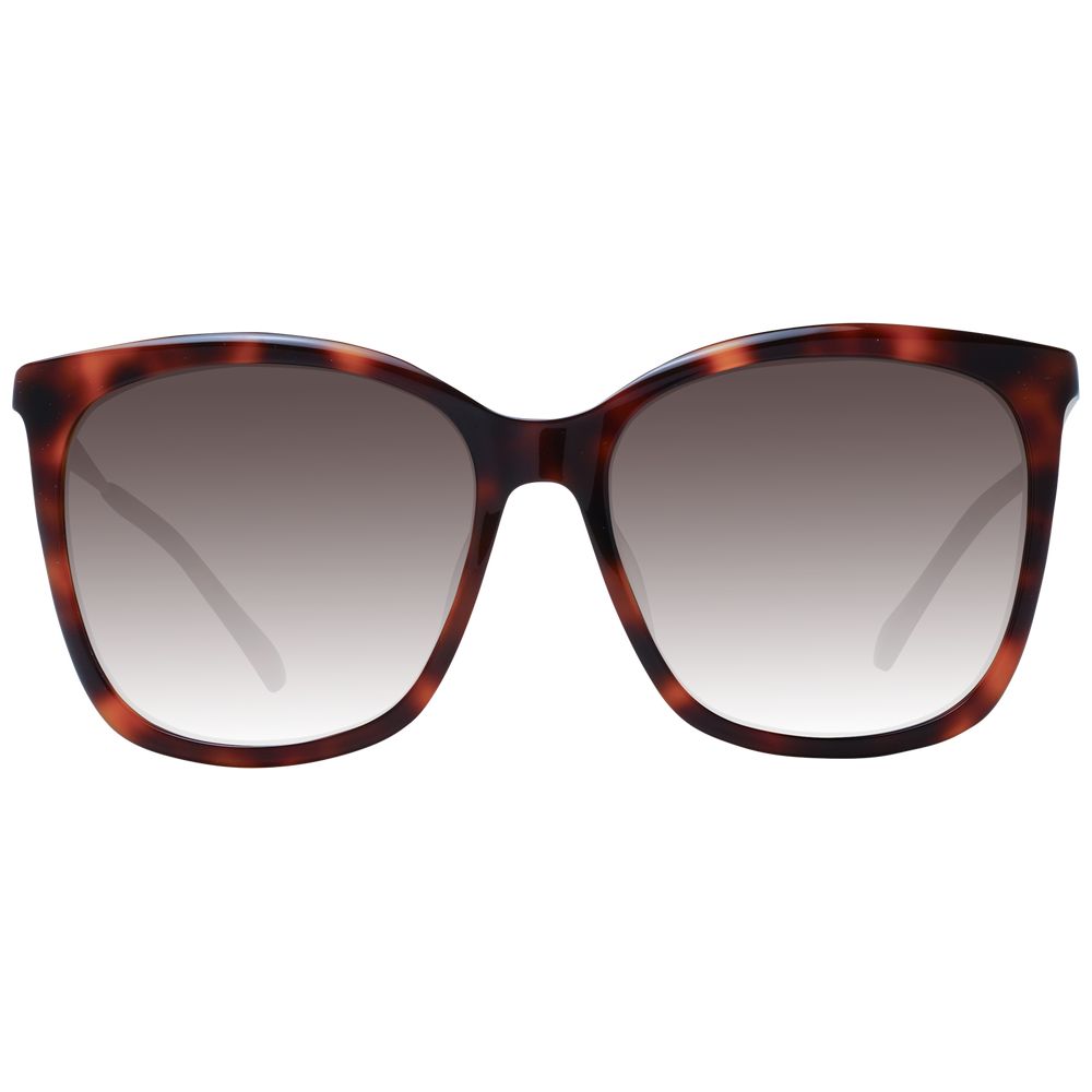 Jimmy Choo Brown Women Sunglasses Curated Luxury Accessories by Orvyn