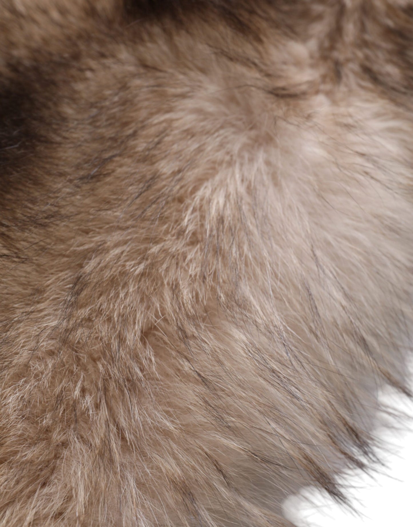 Dolce & Gabbana Brown Frost Fox Fur Neck Warmer Winter Scarf Curated Luxury Accessories by Orvyn